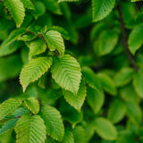 NWT 2024 Stock photos