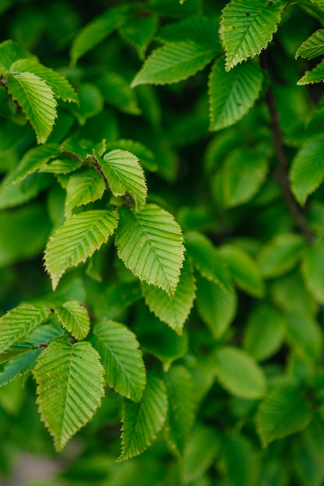 NWT 2024 Stock photos